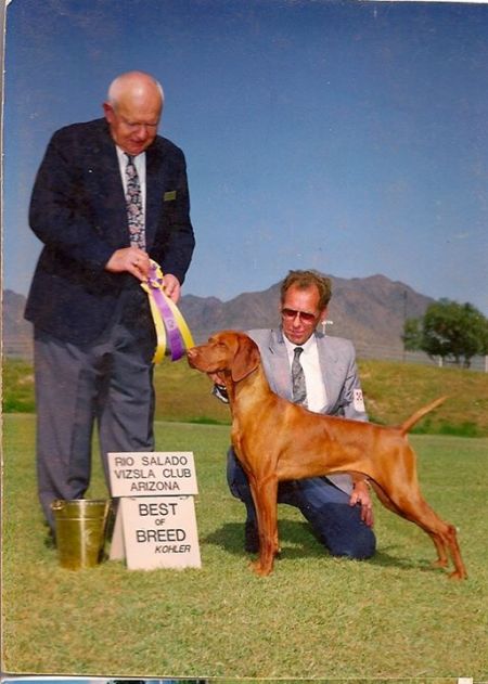 Sandy Acre's Russet Chief