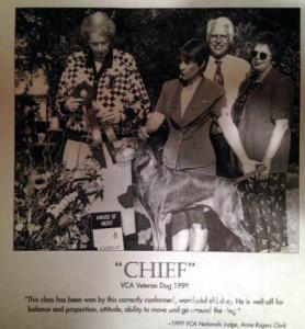 Sandy Acre's Russet Chief