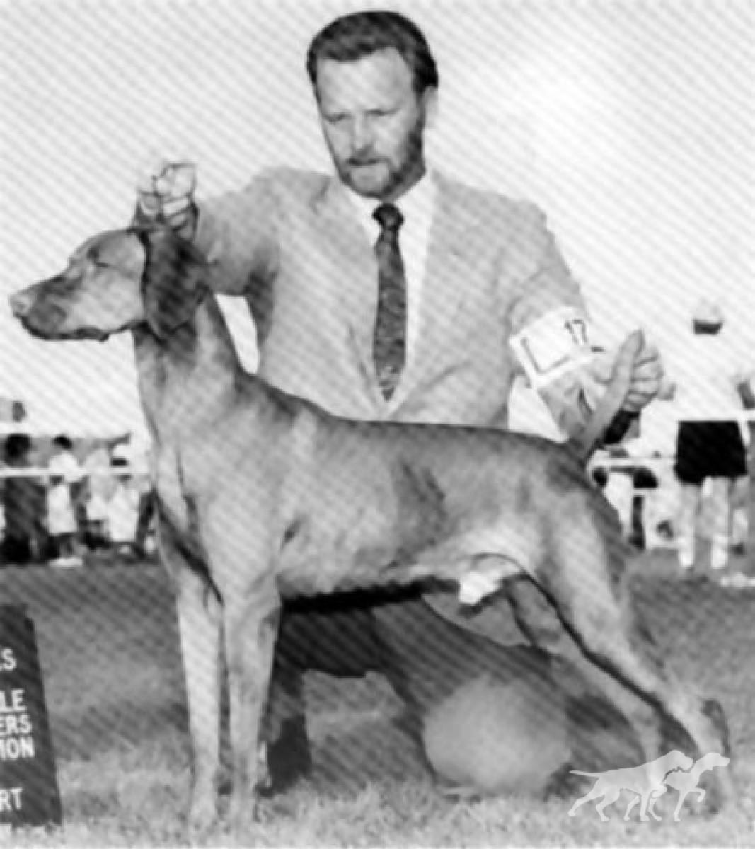 Mehagian's Prize Package