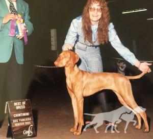 Diamond C Annie Belle