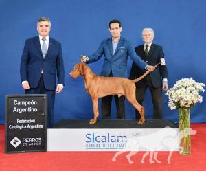 Galileo Antoine-Sanz - Argentina