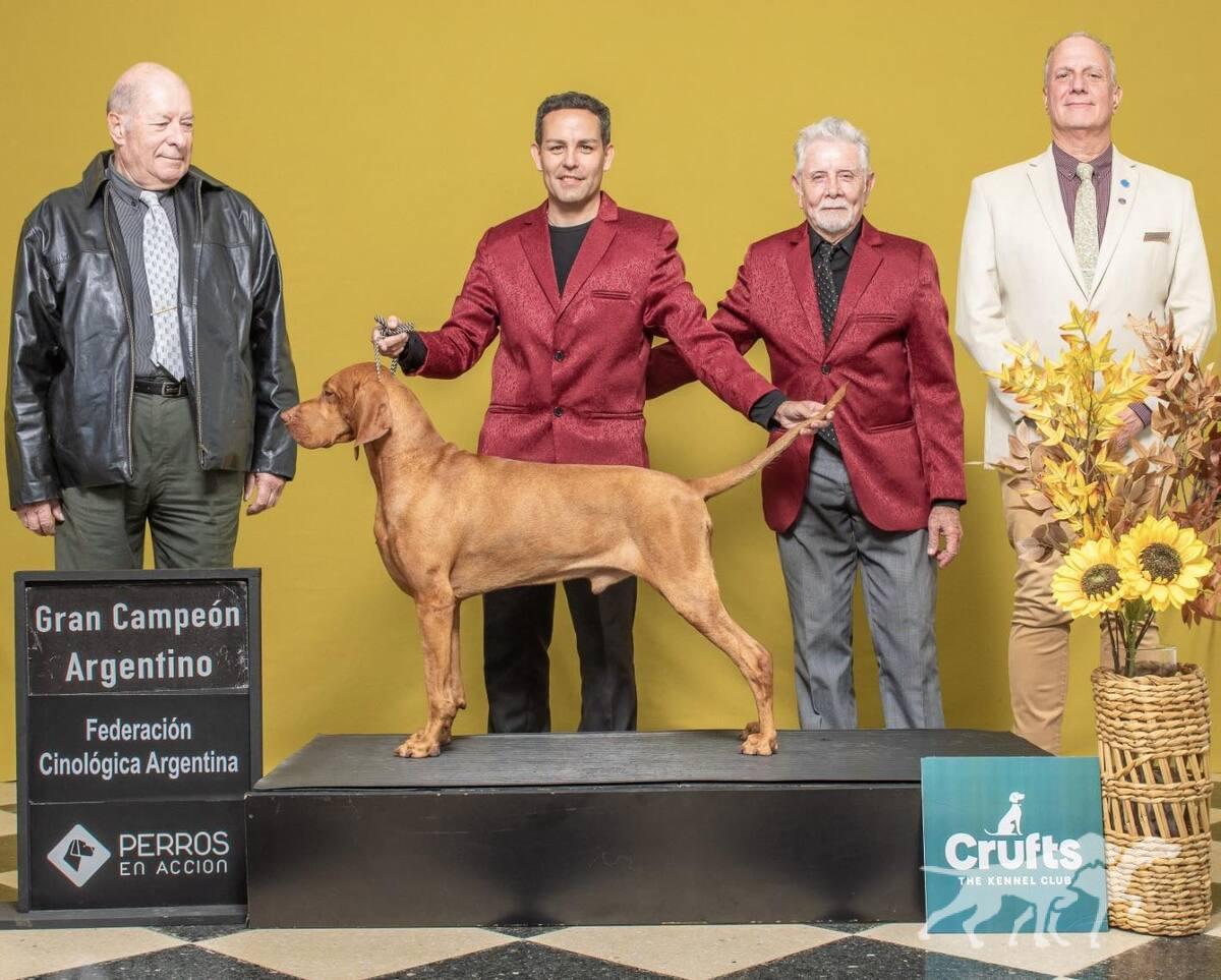 Galileo Antoine-Sanz - Argentina