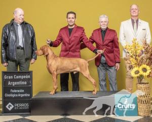 Galileo Antoine-Sanz - Argentina