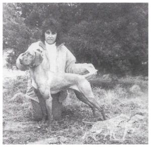 Sippican's Last Chance