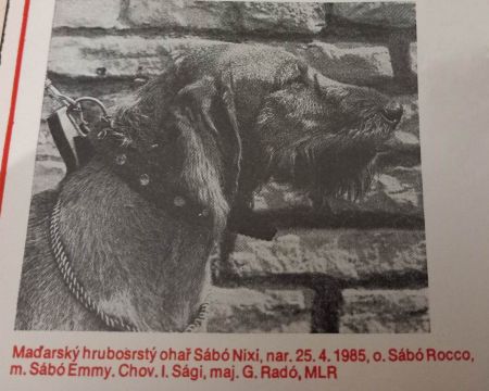 Sábo Nixi