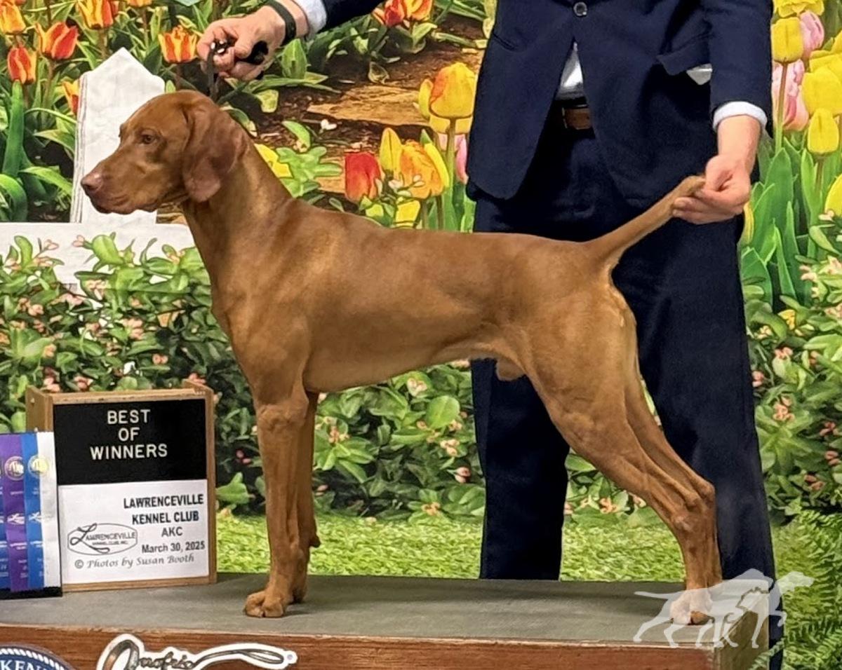 Vizcaya's King Tuck Of Ansley
