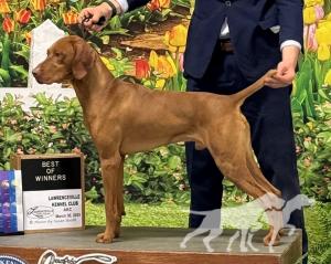 Vizcaya's King Tuck Of Ansley