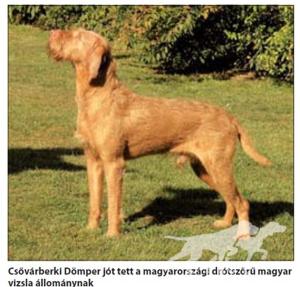 Csövárberki Dömper