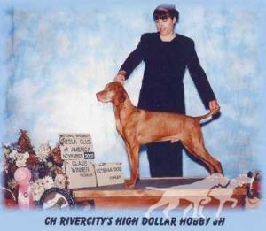 Rivercity's High Dollar Hobby