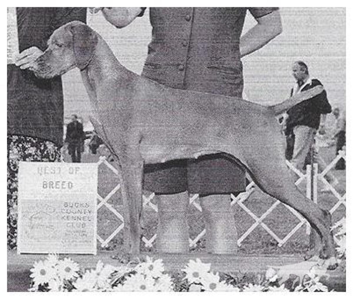 Titan N Bayview's Mystery Girl