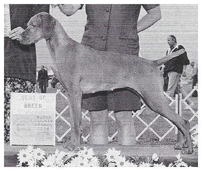 Titan N Bayview's Mystery Girl