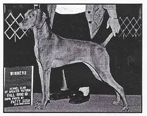 Zenith's Unlisted Number
