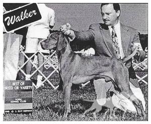 Redwing's Walker Csilag