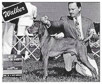 Redwing's Walker Csilag