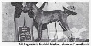 Sugarmint's Trouble's Marker