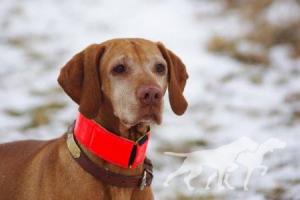 Snowridge Rundevu At Red Oak