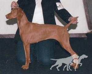Szikra's Bronz Kiraly