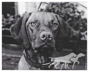 Gold Run's Princess Xena