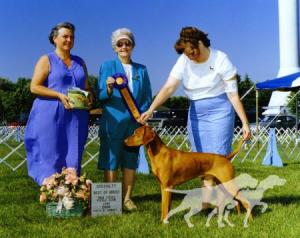 Rebel Rouser Walter