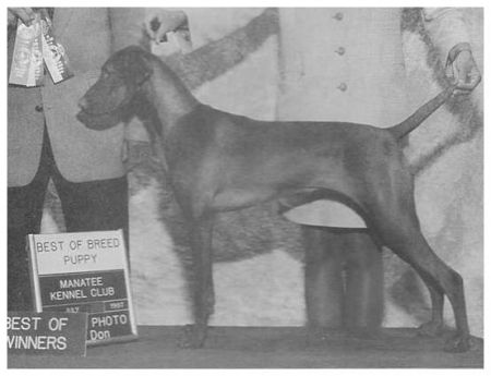 Lyons Skipfire Anya