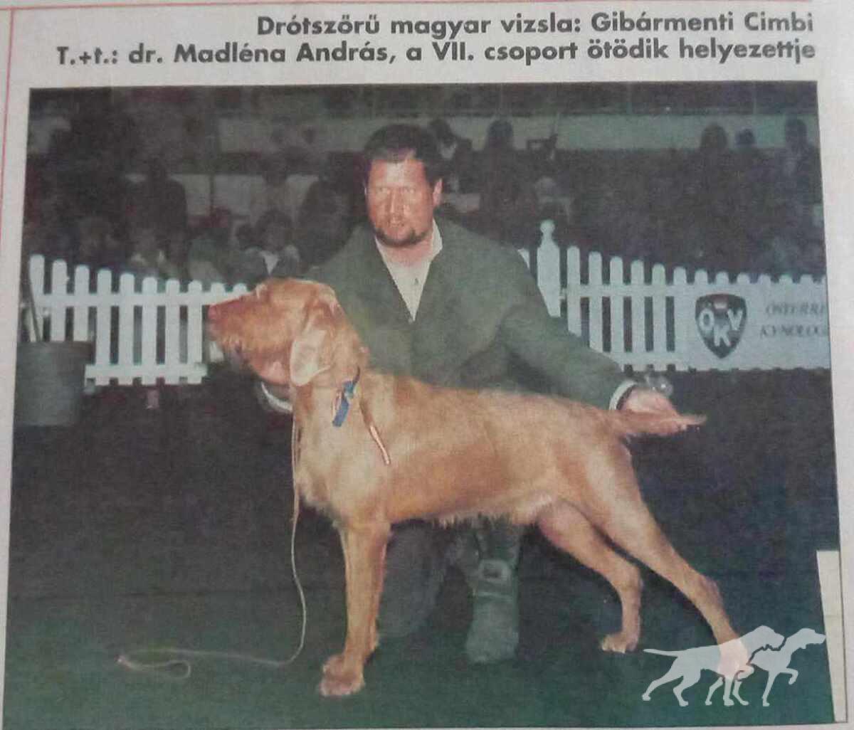 Gibarmenti Cimbi