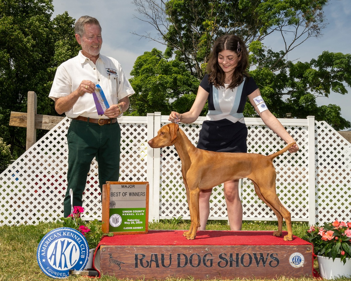A'Loring's Hidden In Plain Sight