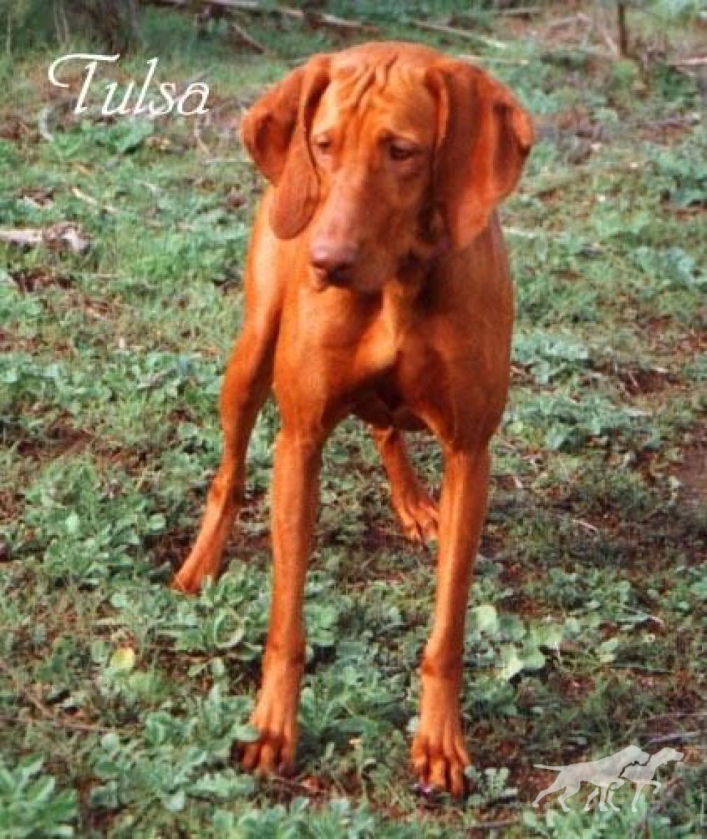 Tulsa Of Trails West