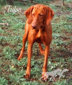 Tulsa Of Trails West