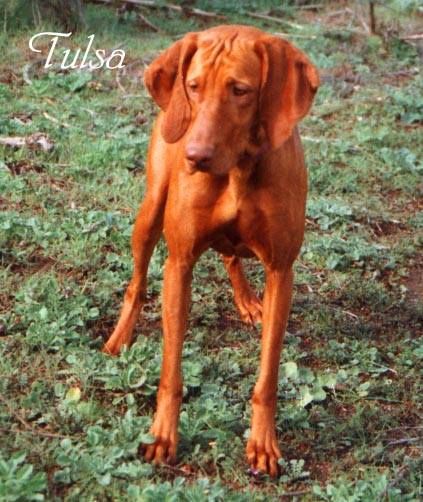 Tulsa Of Trails West