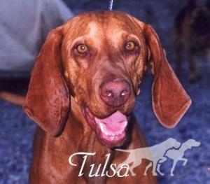 Tulsa Of Trails West