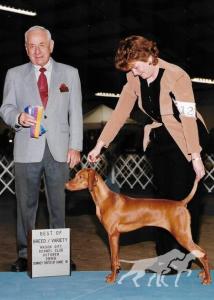 Chrisand's Rustic Royalty