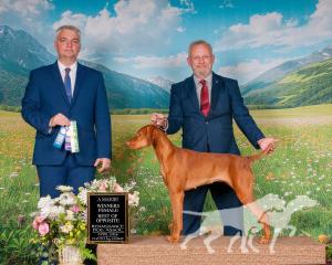 Coast Range's Lady Val'Curie Rue Always Bet On Red