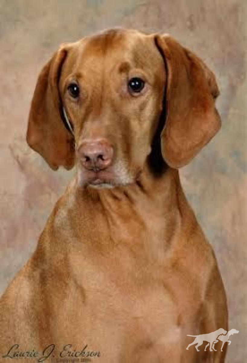 Lake Pepin's Tucker-Boy