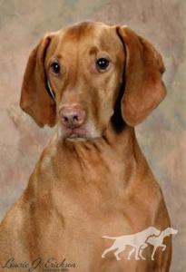 Lake Pepin's Tucker-Boy