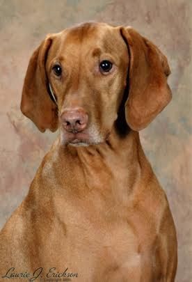 Lake Pepin's Tucker-Boy