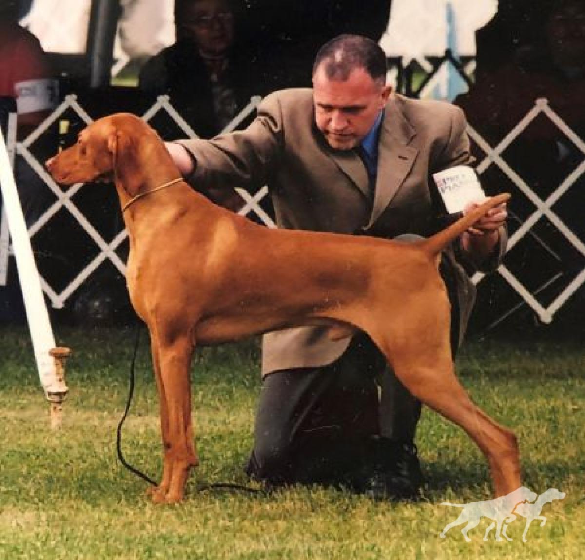 Kizmar Gj Kiss'm All Mclain