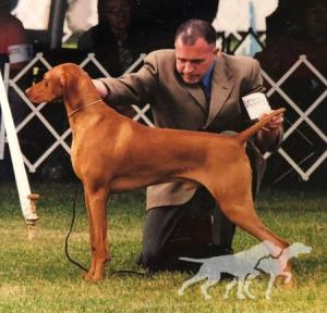 Kizmar Gj Kiss'm All Mclain