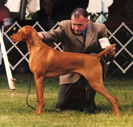 Kizmar Gj Kiss'm All Mclain