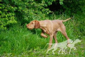 Thea vom Wagnersgrund