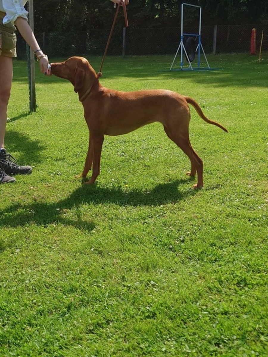 Basha Ruby vom Murweg