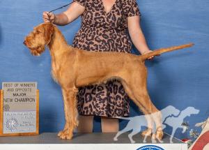 Vizcaya's Vista Ridge Hermia At Cumberland