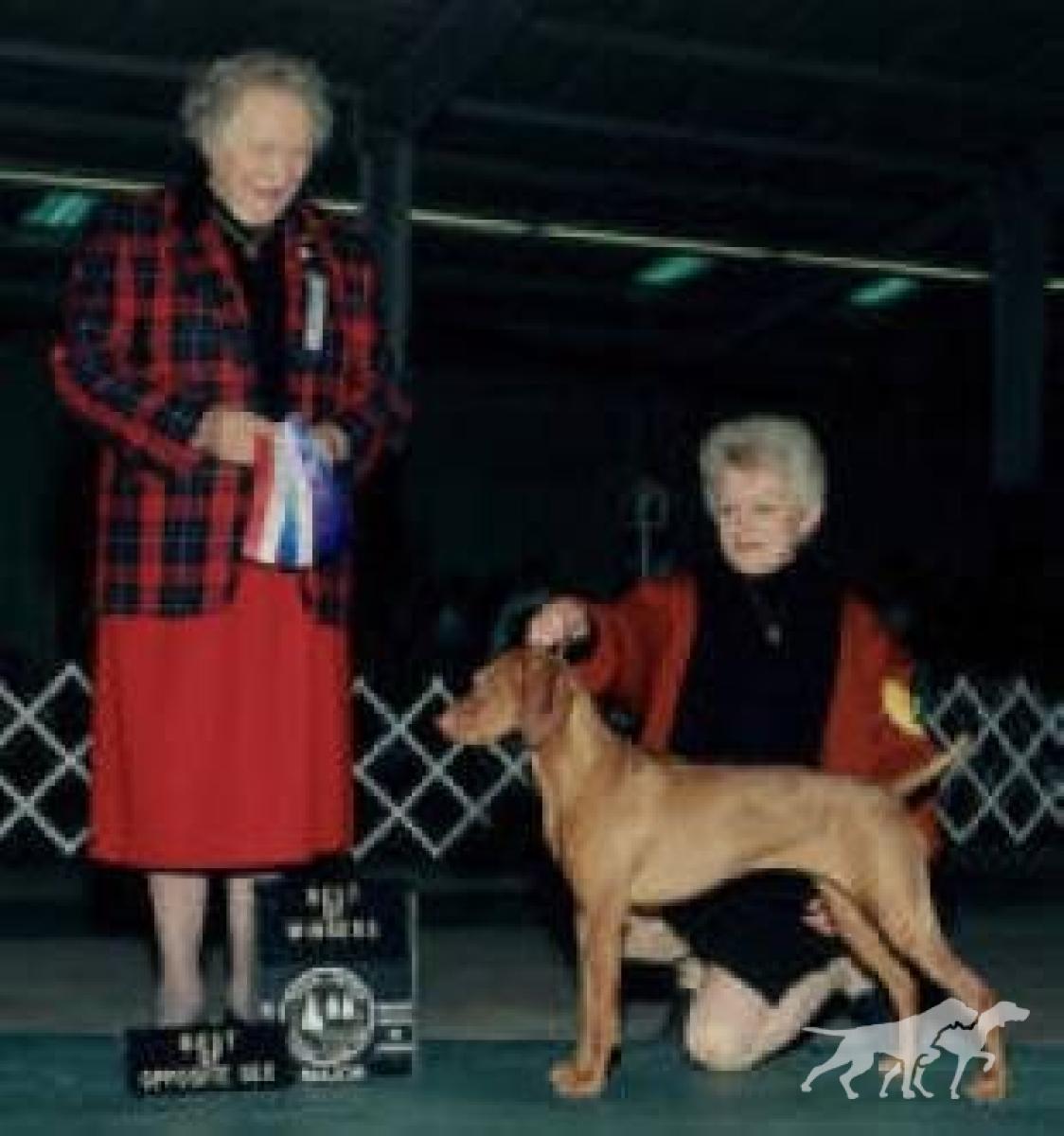 Strider's Remarkable Ms. Ava