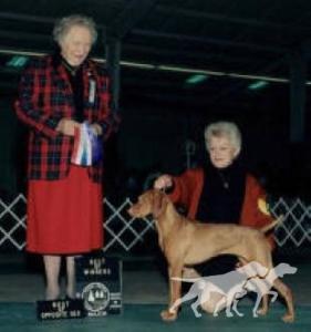 Strider's Remarkable Ms. Ava