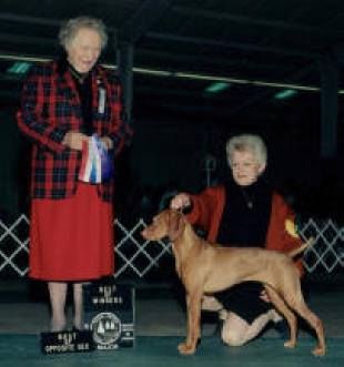 Strider's Remarkable Ms. Ava