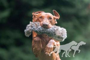 Knieja Holly Dogsland
