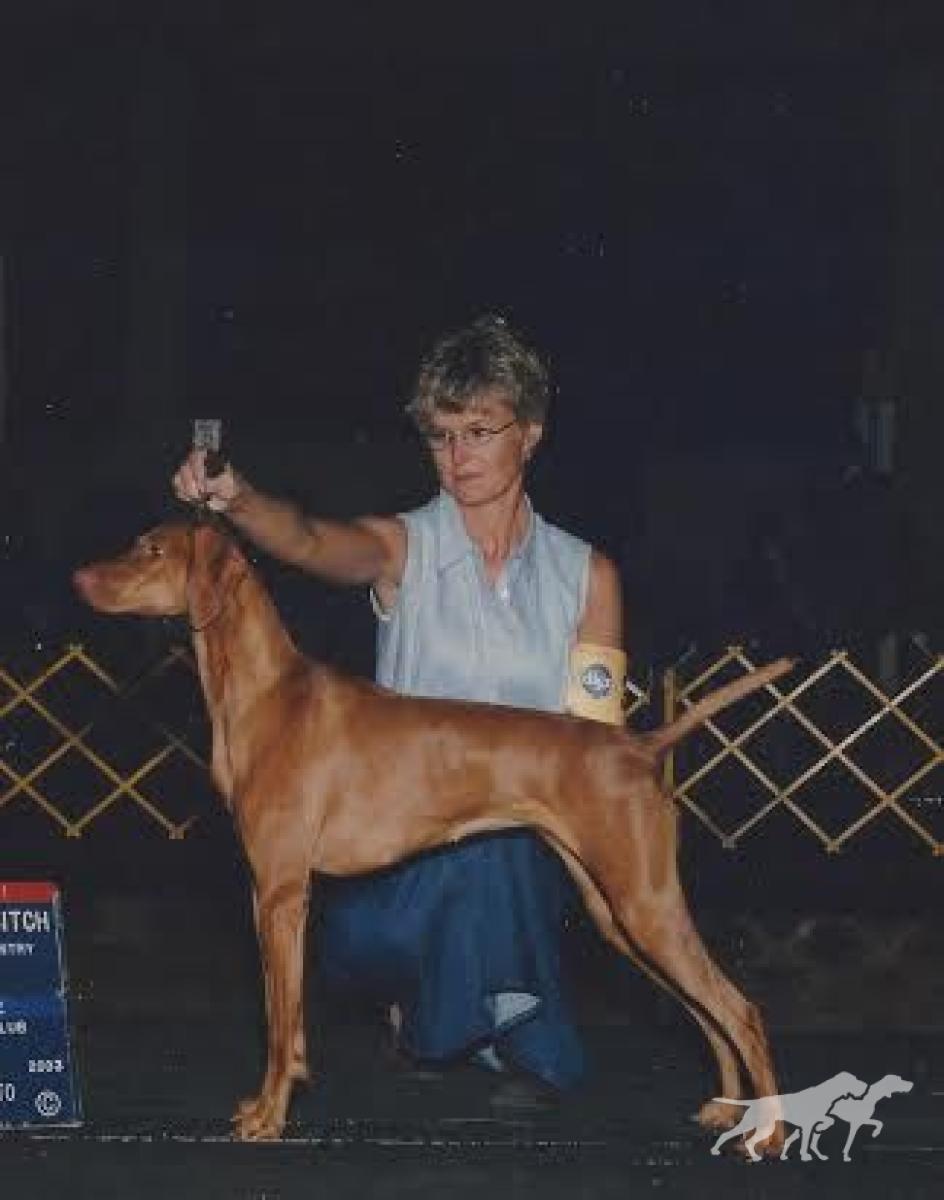 Dunantul Ruby Rozsa Of Tierah
