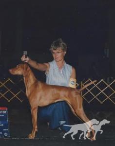 Dunantul Ruby Rozsa Of Tierah