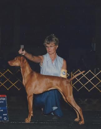 Dunantul Ruby Rozsa Of Tierah