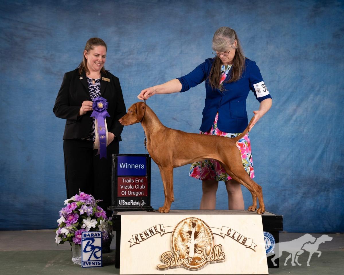 Jaybren's Color Of The Wind At Tierah