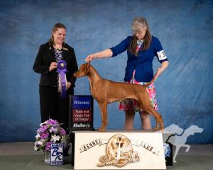 Jaybren's Color Of The Wind At Tierah